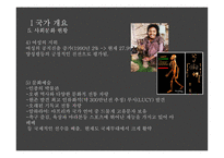 에티오피아 보건분야 ODA 에티오피아의 정치 행정체계 경제현황 에티오피아 인당 GNI-20