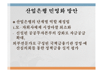 산업은행의 민영화 산업은행의 소개 산업은행 민영화의 의의 정책금융체제 마련-14