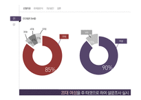 미샤 화장품시잘 미샤 마케팅 미샤 브랜드마케팅 미샤 서비스마케팅 글로벌경영 사례분석-4