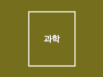 인문주의를통해서본르네상스 르네상스 인문주의 문학 예술 과학-19