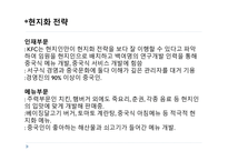 현지화 전략 KFC KFC 기업분석 KFC 글로벌시장 브랜드마케팅 서비스마케팅 글로벌경영 사례분석-17