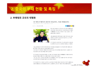중국의 부패 문제 중국정부의 부패 중국정부 노력-6