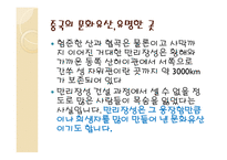 중국 전통문화 전통예술 민족문화 중국 대표 음식-10