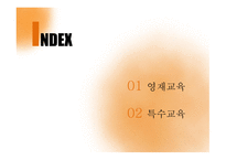특수학습자 영재교육 특수교육 영재의 의미 영재의 유형 특수아동-2