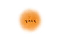 특수학습자 영재교육 특수교육 영재의 의미 영재의 유형 특수아동-3