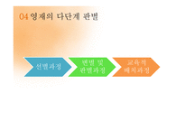 특수학습자 영재교육 특수교육 영재의 의미 영재의 유형 특수아동-8