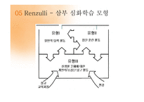 특수학습자 영재교육 특수교육 영재의 의미 영재의 유형 특수아동-9