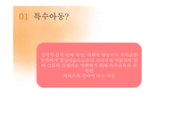 특수학습자 영재교육 특수교육 영재의 의미 영재의 유형 특수아동-12