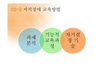 특수학습자 영재교육 특수교육 영재의 의미 영재의 유형 특수아동-15
