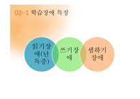 특수학습자 영재교육 특수교육 영재의 의미 영재의 유형 특수아동-17