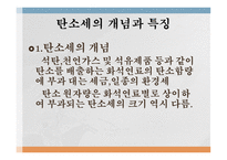 탄소세 도입 탄소세의 등장배경 탄소세의 개념 탄소세와 배출권거래제도 탄소세의 문제점-4