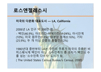 미국 이민자 현황 미국의 다문화 다문화교육 다문화주의의 다면성-2