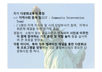 미국 이민자 현황 미국의 다문화 다문화교육 다문화주의의 다면성-10