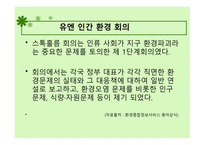 환경 관련 기관들의 세계화 유엔 인간 환경 회의 환경주의에 대한 세계화-6