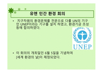 환경 관련 기관들의 세계화 유엔 인간 환경 회의 환경주의에 대한 세계화-7
