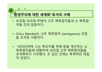 환경 관련 기관들의 세계화 유엔 인간 환경 회의 환경주의에 대한 세계화-10