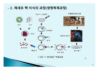 동식물 복제 생명복제기술이란 체세포 핵 이식 윤리적 한계-6