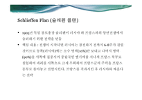 1차 세계대전 사라예보 사건 슐레펜 플랜 타넨베르크 전투-5