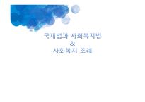 국제법과 사회복지법 사회복지 조례 국제법의 효력 국제인권규약 유엔아동권리협약 국제노동기구 ILO 조례의 기능-1