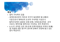 국제법과 사회복지법 사회복지 조례 국제법의 효력 국제인권규약 유엔아동권리협약 국제노동기구 ILO 조례의 기능-4