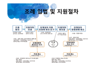 국제법과 사회복지법 사회복지 조례 국제법의 효력 국제인권규약 유엔아동권리협약 국제노동기구 ILO 조례의 기능-17
