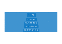 세계 경제 영토 세계경제블록 TPPvsRCEP-2