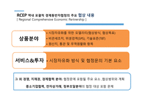 세계 경제 영토 세계경제블록 TPPvsRCEP-5