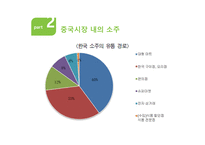 진로 경영전략 분석 국제경영전략 중국 내 주류시장 주류시장 품목별 세분화 중국시장 내의 소주 중국 진출전략 국순당 성공요인-7