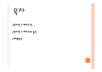 인라인 스케이트 인라인 스케이트란 인라인 스케이트의 종류-2