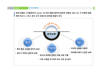 조직 행동론 스타플레이어 기업과 스타플레이어 히딩크의 리더쉽 스티브 잡스 사례-4
