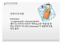 안락사의 정의 현황 안락사 찬성의견 안락사 반대의견-4