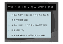 간척사업 문제점 간척사업 해결방안 간척사업의 개요 간척사업의 시작 간척사업의 장단점 갯벌의 장점-10