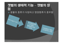 간척사업 문제점 간척사업 해결방안 간척사업의 개요 간척사업의 시작 간척사업의 장단점 갯벌의 장점-11