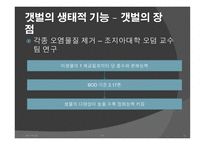 간척사업 문제점 간척사업 해결방안 간척사업의 개요 간척사업의 시작 간척사업의 장단점 갯벌의 장점-12