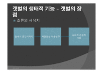 간척사업 문제점 간척사업 해결방안 간척사업의 개요 간척사업의 시작 간척사업의 장단점 갯벌의 장점-13