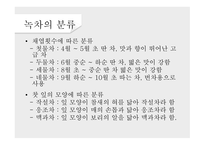 녹차의 개념 녹차의 정의 녹차의 역사 녹차의 효능 홍차의 개념 홍차의 정의 홍차의 역사-6