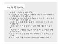 녹차의 개념 녹차의 정의 녹차의 역사 녹차의 효능 홍차의 개념 홍차의 정의 홍차의 역사-7