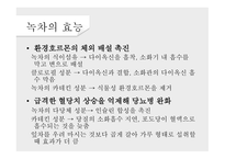녹차의 개념 녹차의 정의 녹차의 역사 녹차의 효능 홍차의 개념 홍차의 정의 홍차의 역사-11