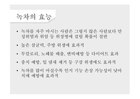 녹차의 개념 녹차의 정의 녹차의 역사 녹차의 효능 홍차의 개념 홍차의 정의 홍차의 역사-12