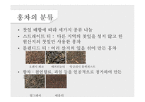 녹차의 개념 녹차의 정의 녹차의 역사 녹차의 효능 홍차의 개념 홍차의 정의 홍차의 역사-16