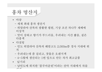 녹차의 개념 녹차의 정의 녹차의 역사 녹차의 효능 홍차의 개념 홍차의 정의 홍차의 역사-17
