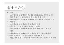 녹차의 개념 녹차의 정의 녹차의 역사 녹차의 효능 홍차의 개념 홍차의 정의 홍차의 역사-18
