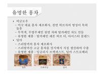 녹차의 개념 녹차의 정의 녹차의 역사 녹차의 효능 홍차의 개념 홍차의 정의 홍차의 역사-20