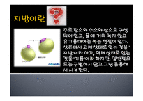 지방(Lipids) 지방이란 지방의 분류 지방 아동발달 음식들의 트랜스지방 함유량-2