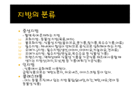 지방(Lipids) 지방이란 지방의 분류 지방 아동발달 음식들의 트랜스지방 함유량-3