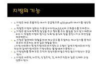 지방(Lipids) 지방이란 지방의 분류 지방 아동발달 음식들의 트랜스지방 함유량-7