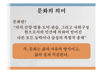 문화의 의미 문화의 다양성 문화 충돌 사례 문화를 바라보는 관점 문화 사대주의 자문화 중심주의-1