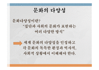 문화의 의미 문화의 다양성 문화 충돌 사례 문화를 바라보는 관점 문화 사대주의 자문화 중심주의-2