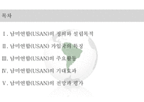 남미연합(USAN)의 정의 남미연합(USAN) 남미공동시장-2