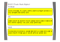 무역 분쟁 사례 상표권 분쟁 중국 내 무역 분쟁 지식재산권-2